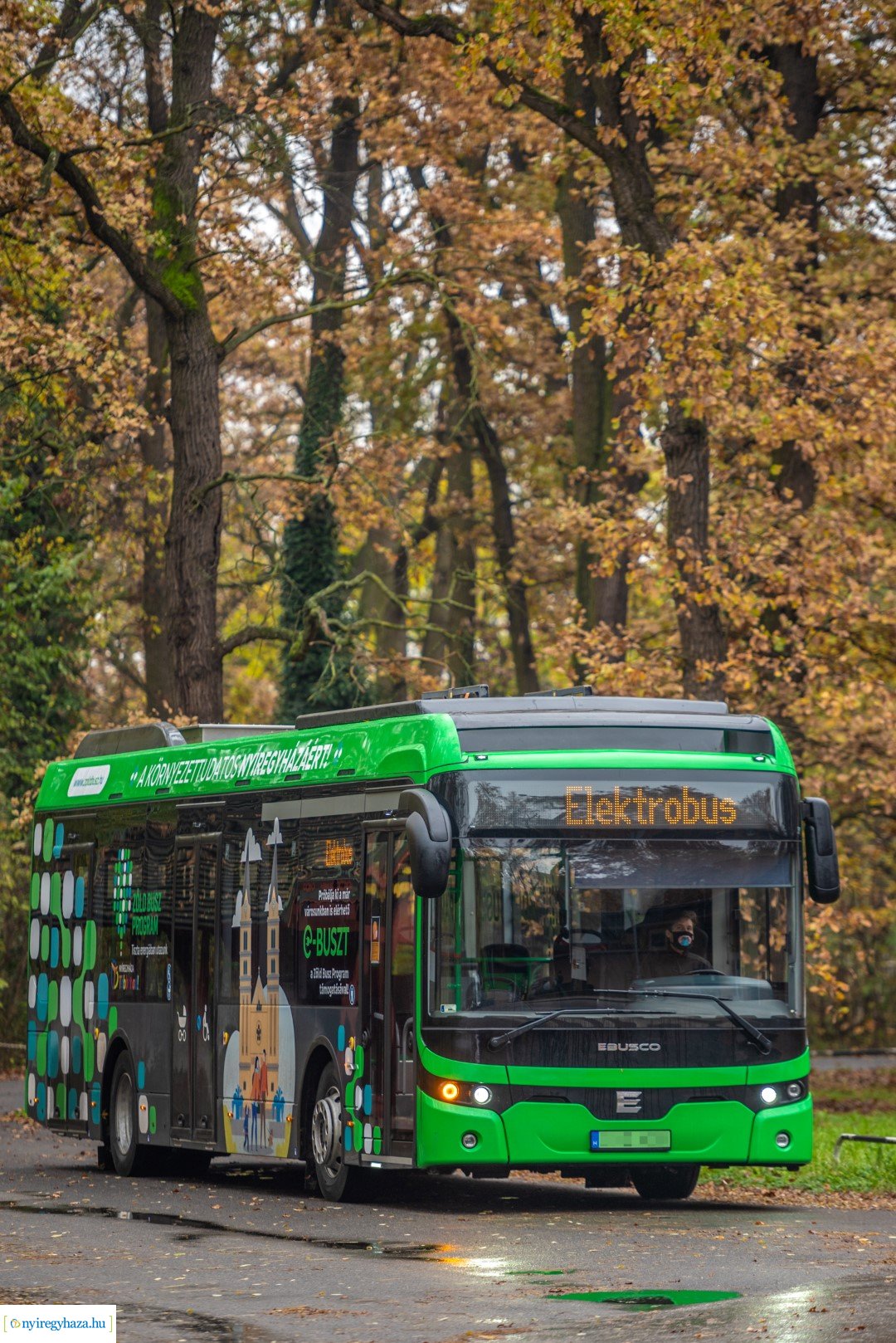 Zöld Busz Program Nyíregyházán