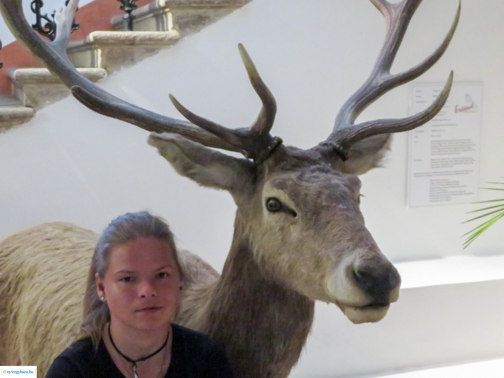 Zöld Kerék Alapítvány