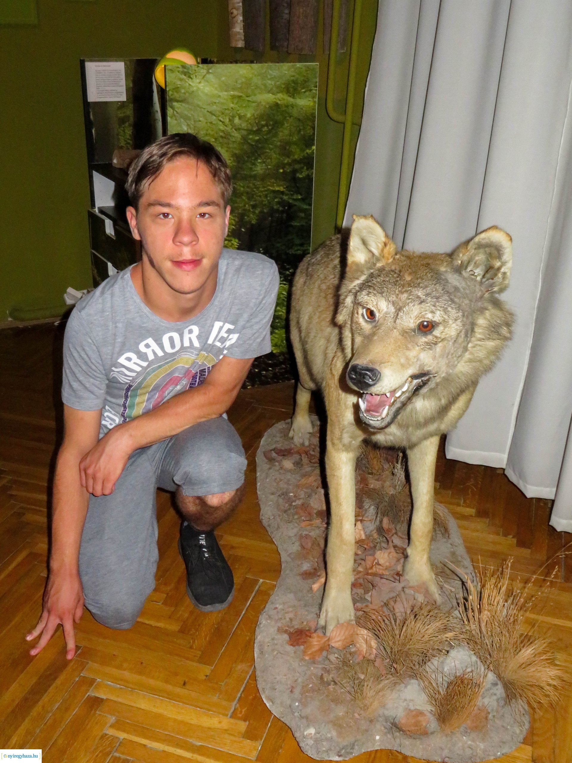 Zöld Kerék Alapítvány