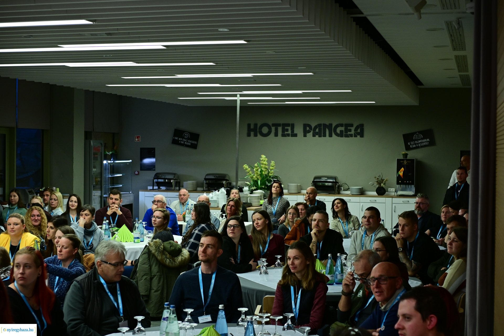 Zoo Disputa előadások a Pangeában