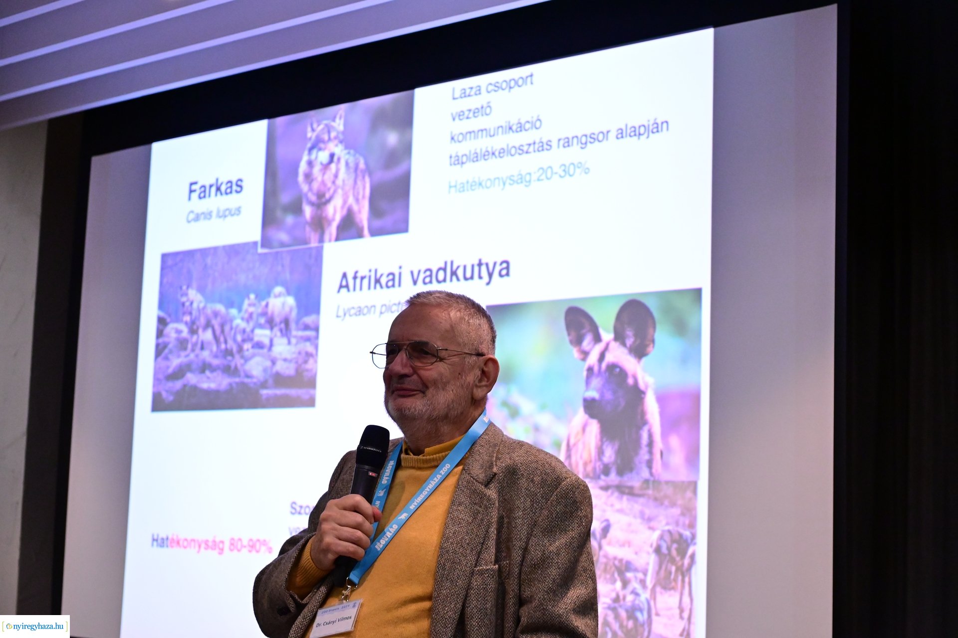 Zoo Disputa előadások a Pangeában