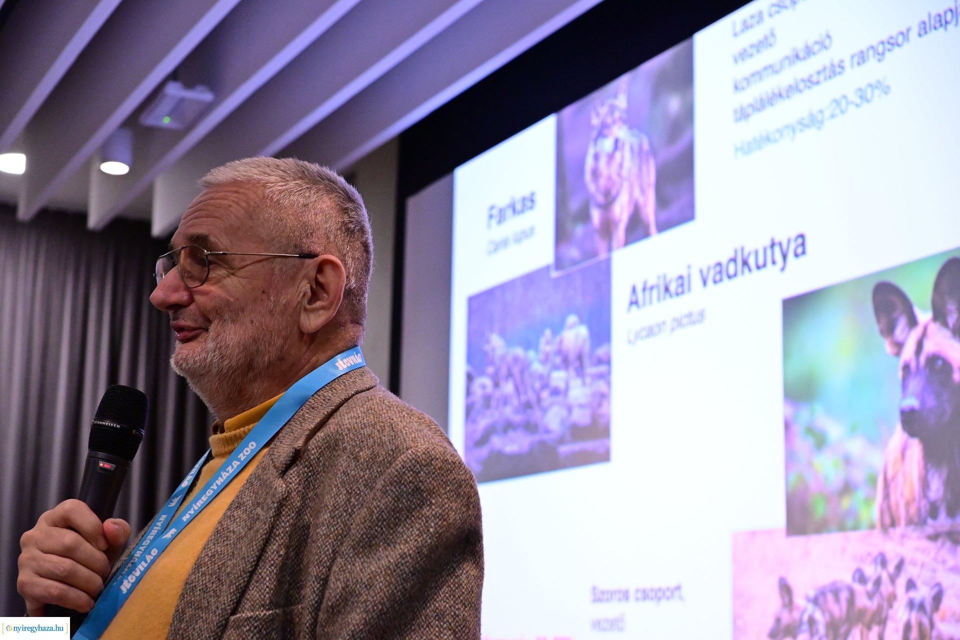 Zoo Disputa előadások a Pangeában