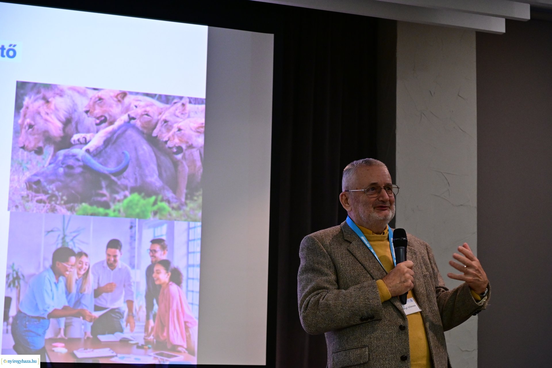 Zoo Disputa előadások a Pangeában