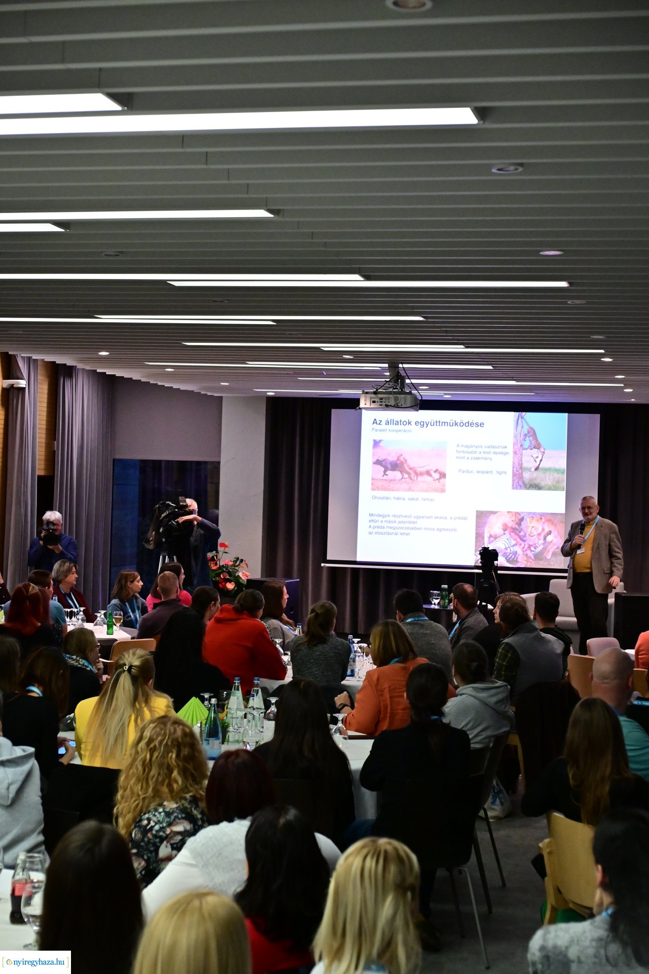 Zoo Disputa előadások a Pangeában