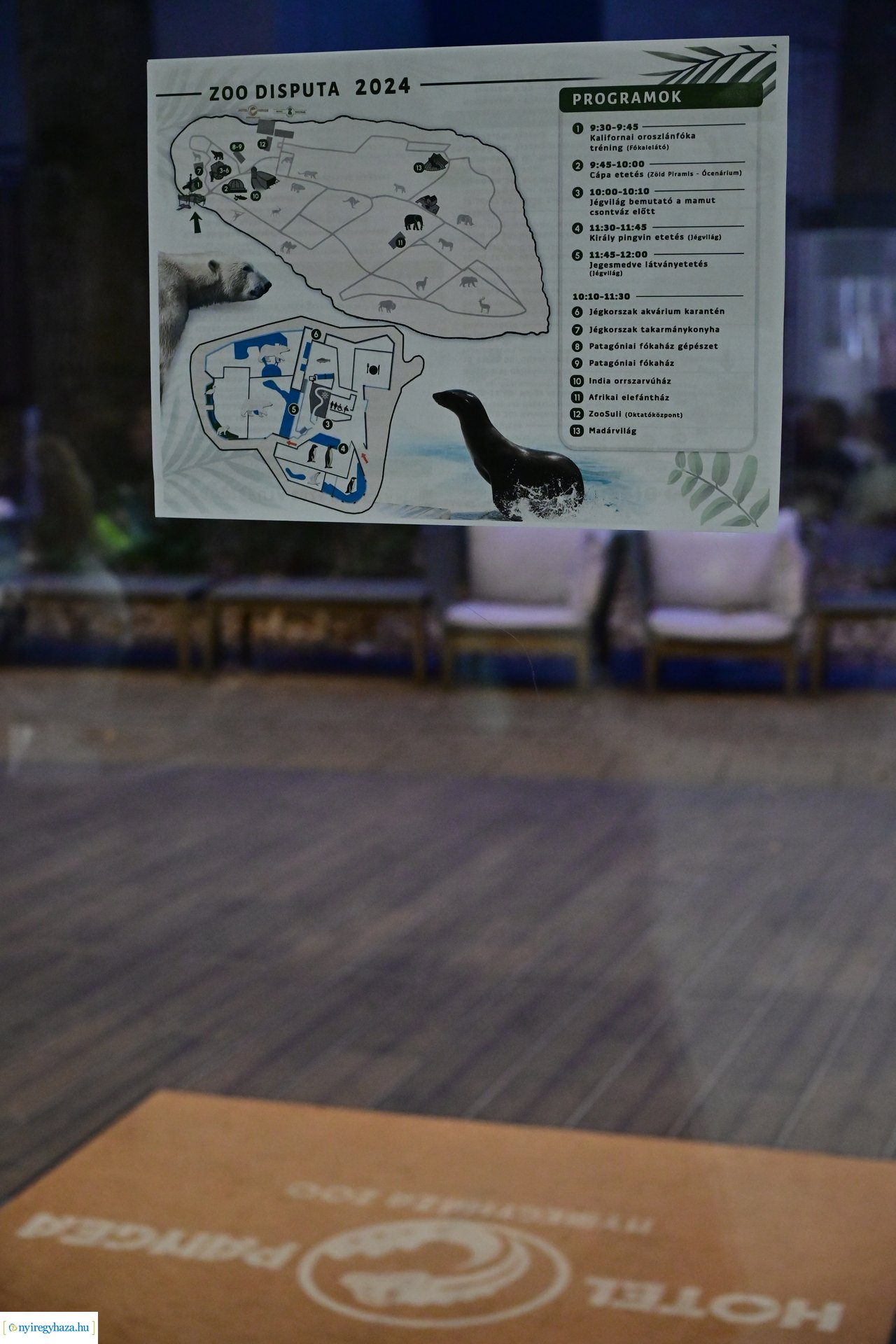 Zoo Disputa előadások a Pangeában