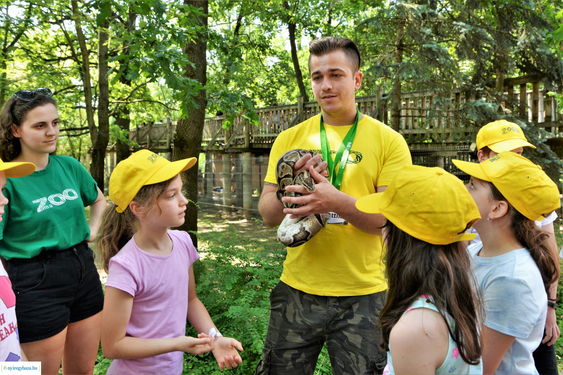 Zoo-suli - Nyíregyháza 2023.
