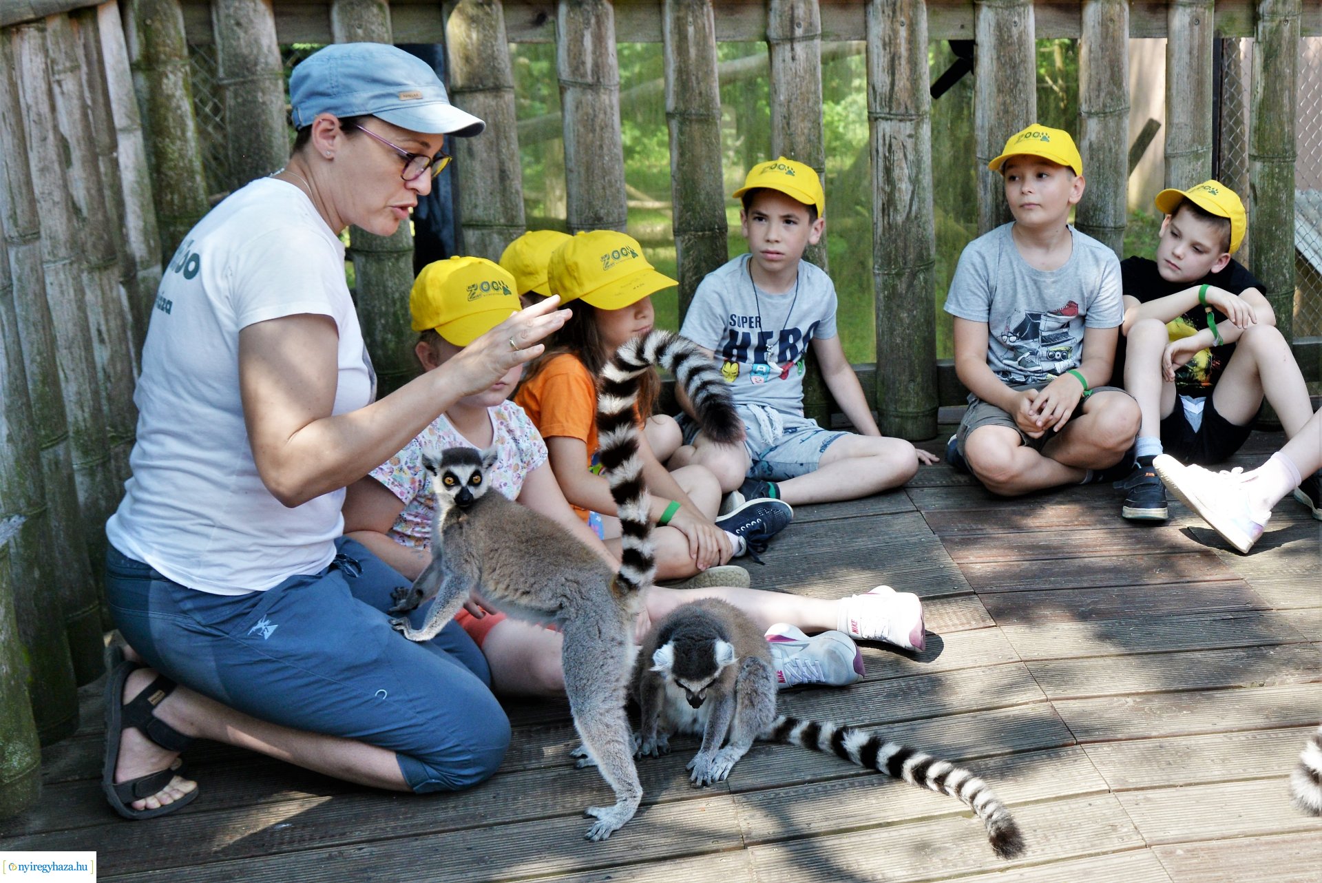 Zoo-suli - Nyíregyháza 2023.