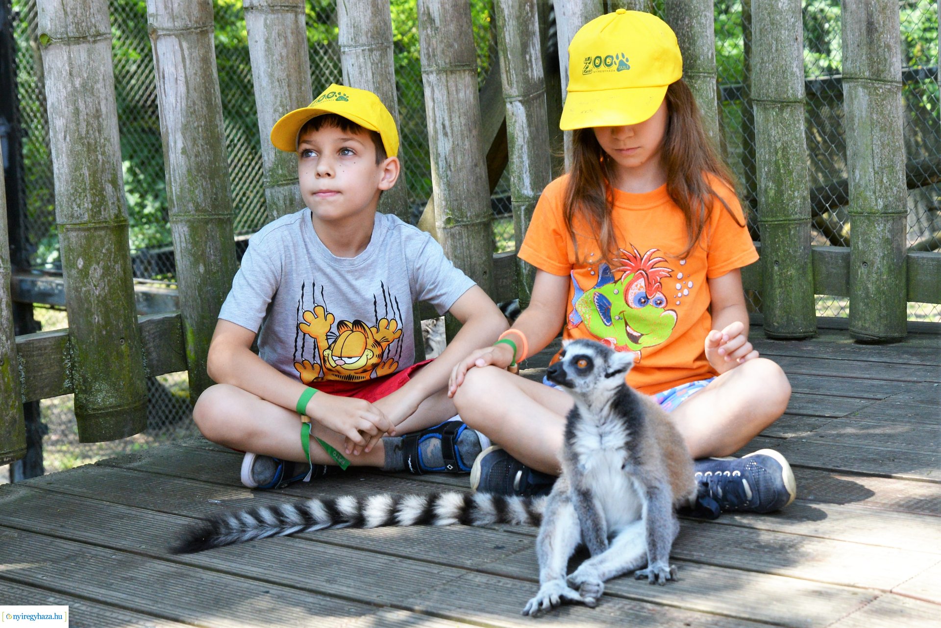 Zoo-suli - Nyíregyháza 2023.