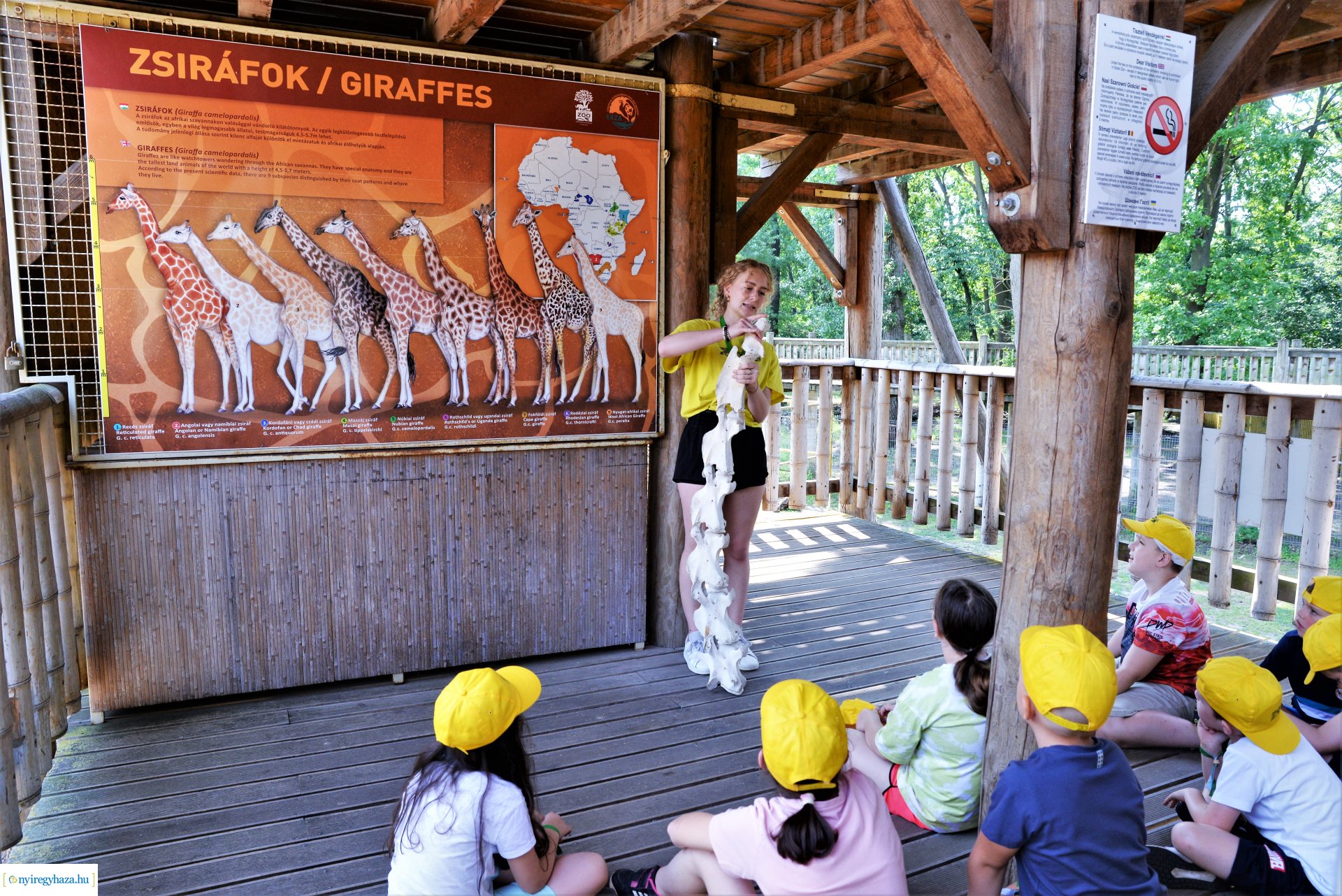 Zoo-suli - Nyíregyháza 2023.