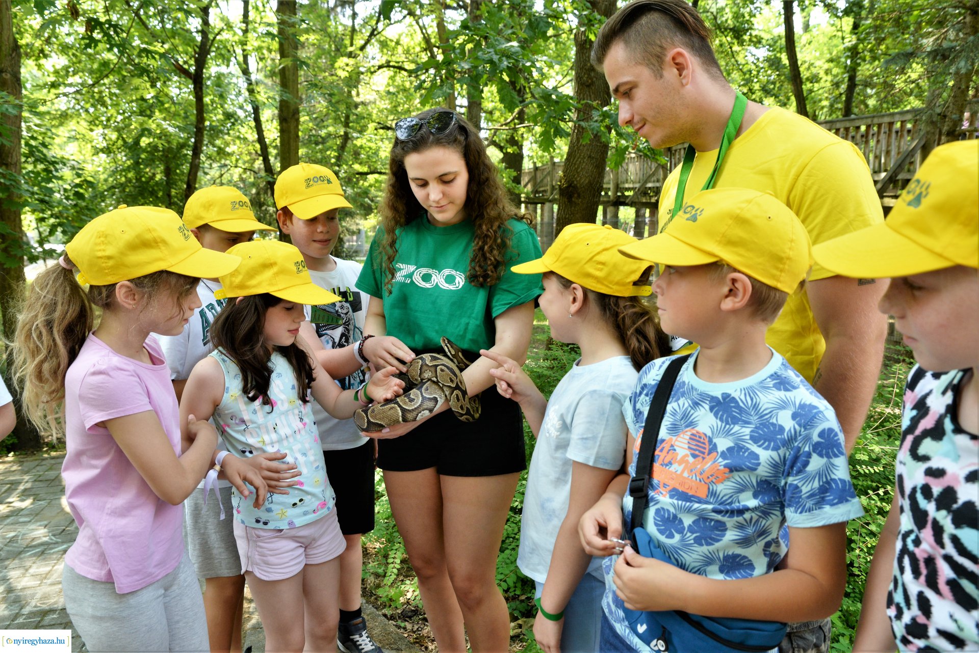 Zoo-suli - Nyíregyháza 2023.