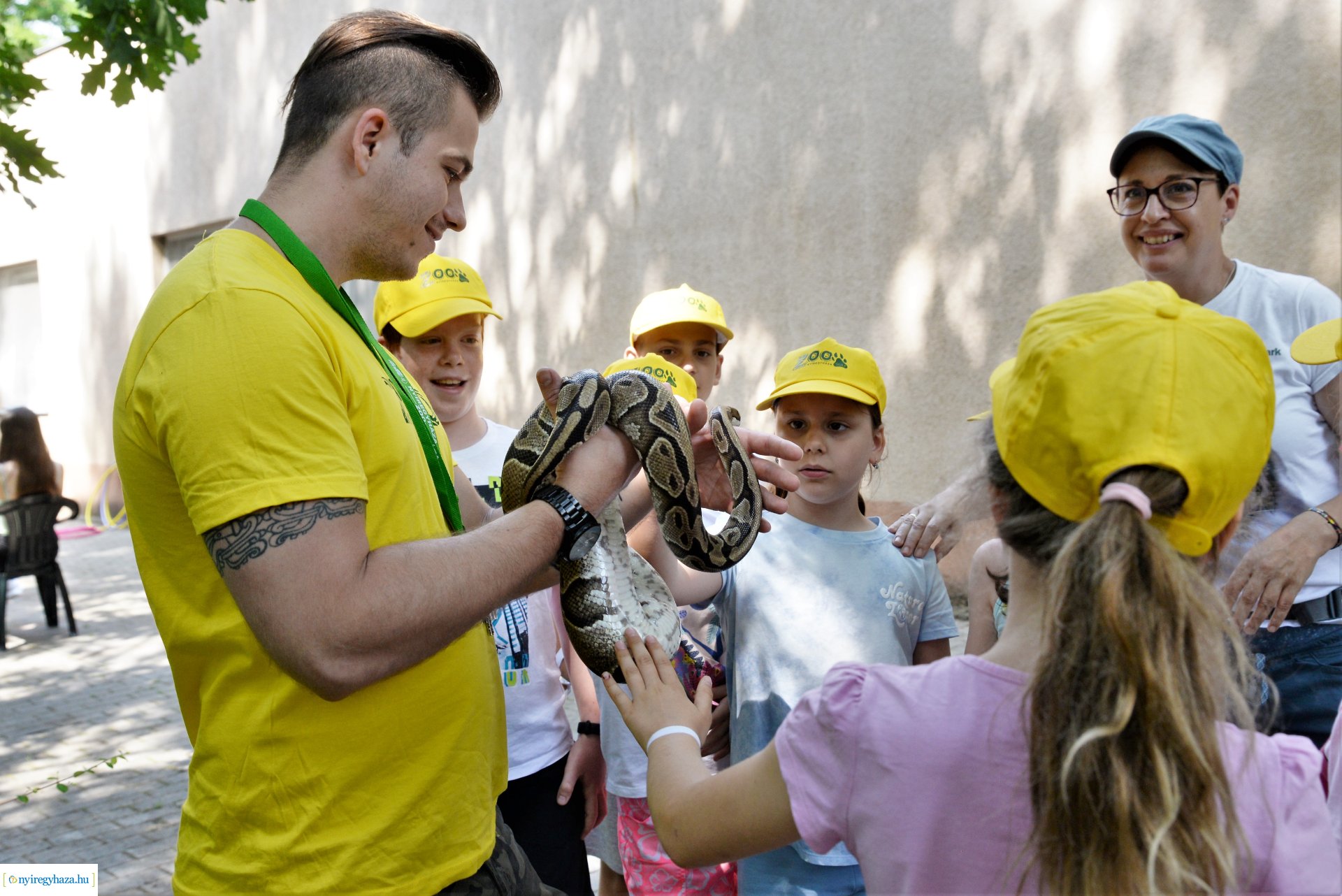 Zoo-suli - Nyíregyháza 2023.