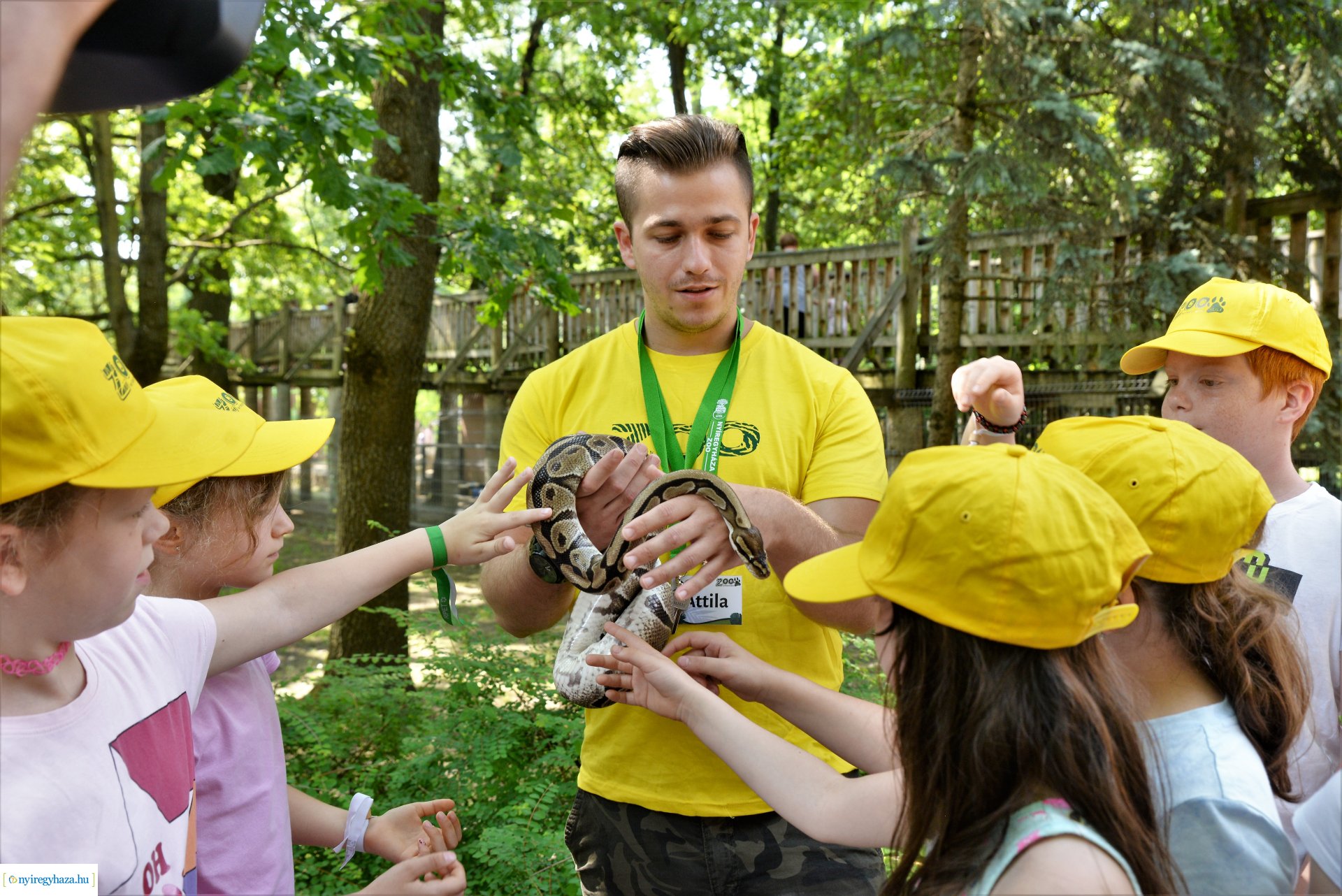 Zoo-suli - Nyíregyháza 2023.