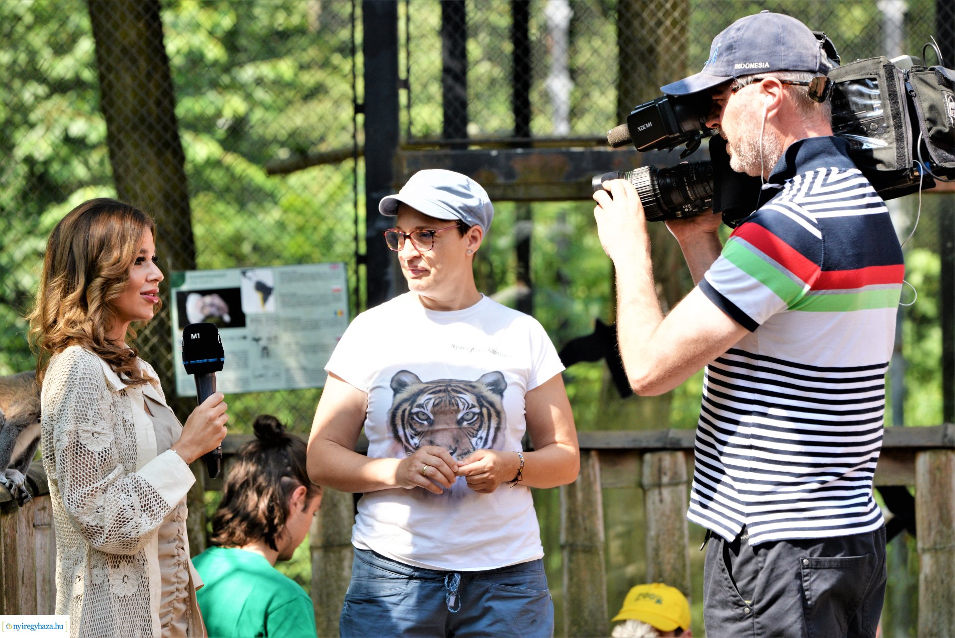 Zoo-suli - Nyíregyháza 2023.