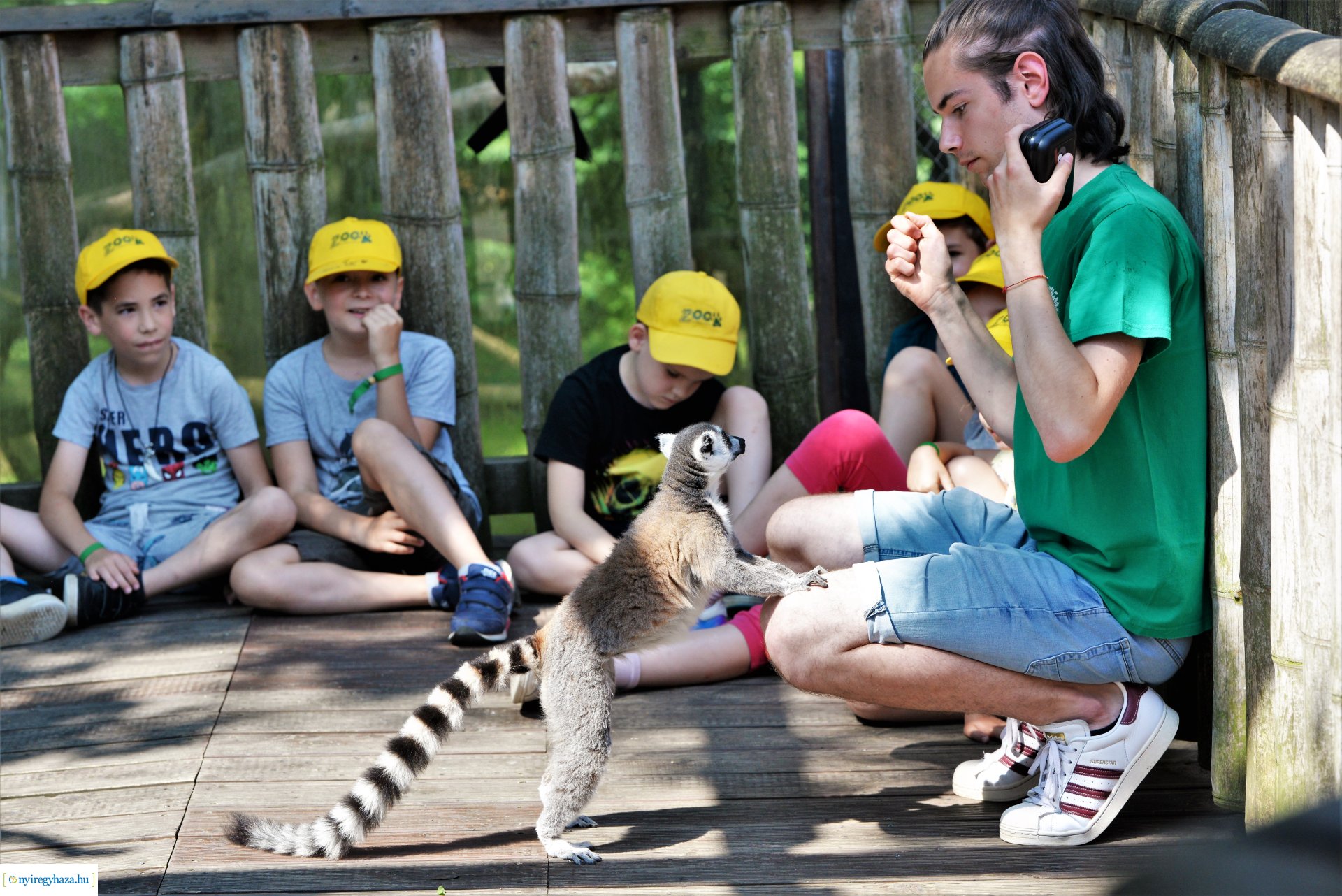 Zoo-suli - Nyíregyháza 2023.