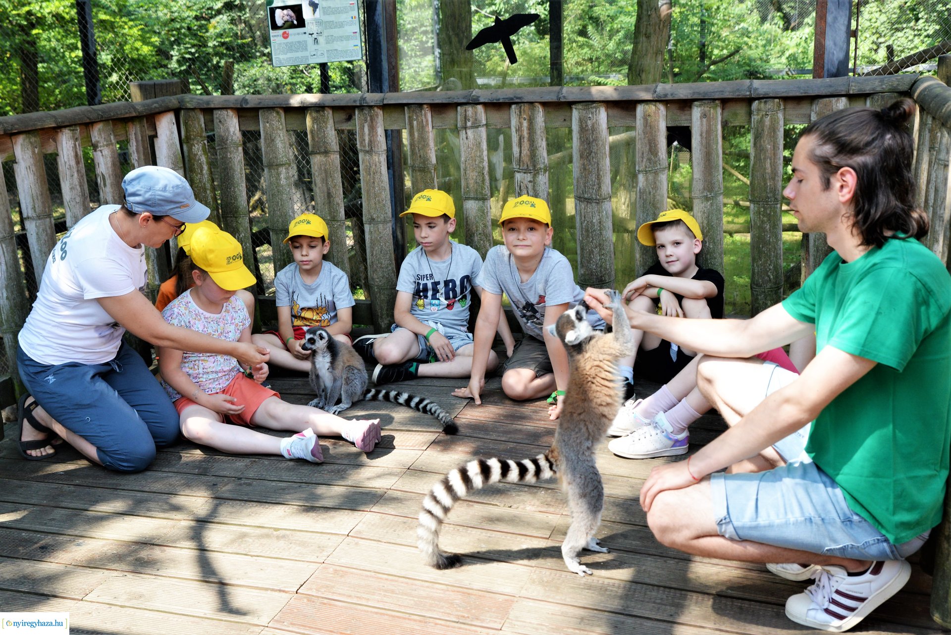 Zoo-suli - Nyíregyháza 2023.