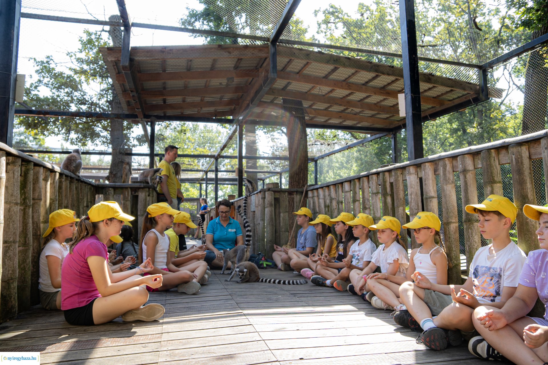 ZooSuli 2024 a Nyíregyházi Állatparkban