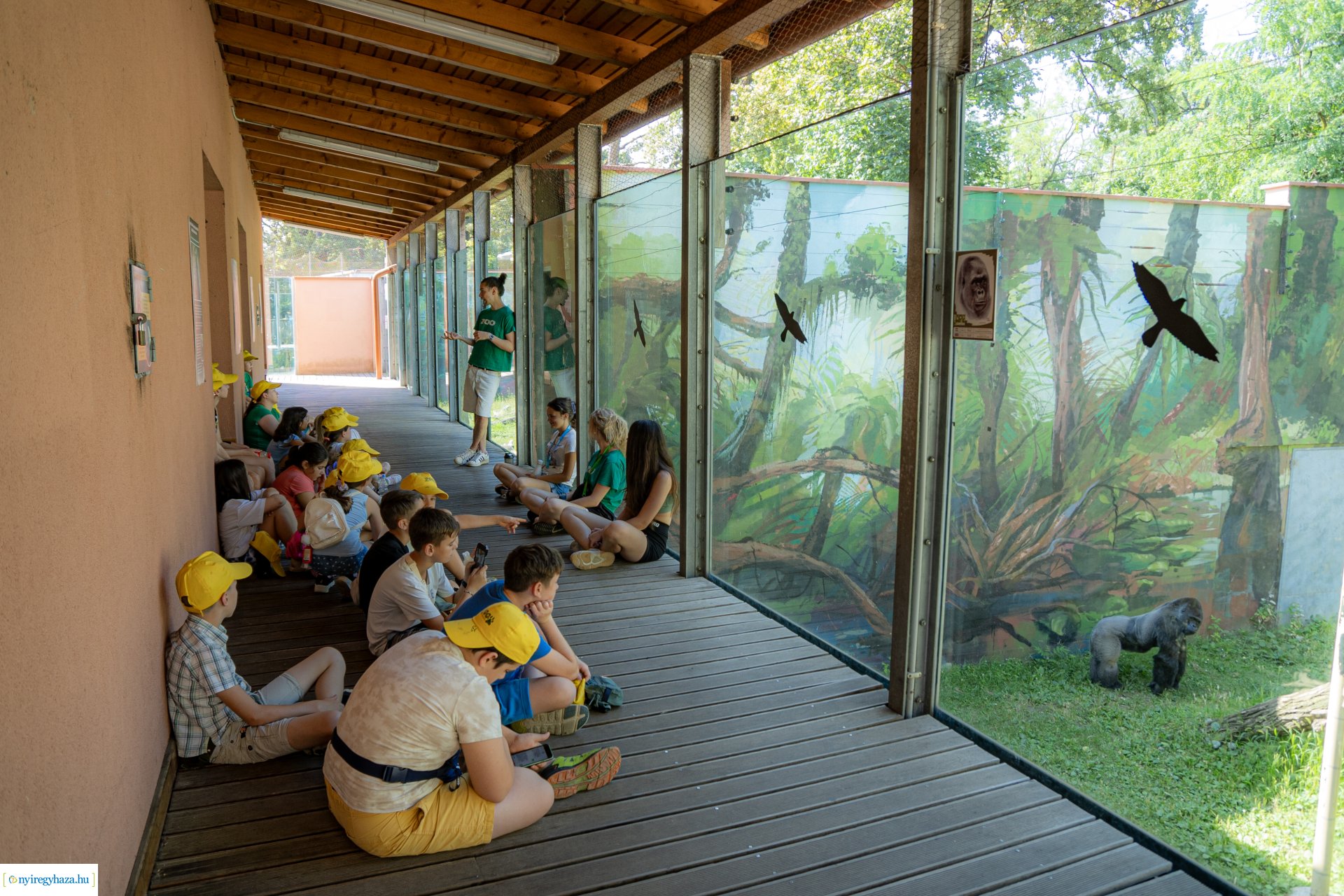 ZooSuli 2024 a Nyíregyházi Állatparkban