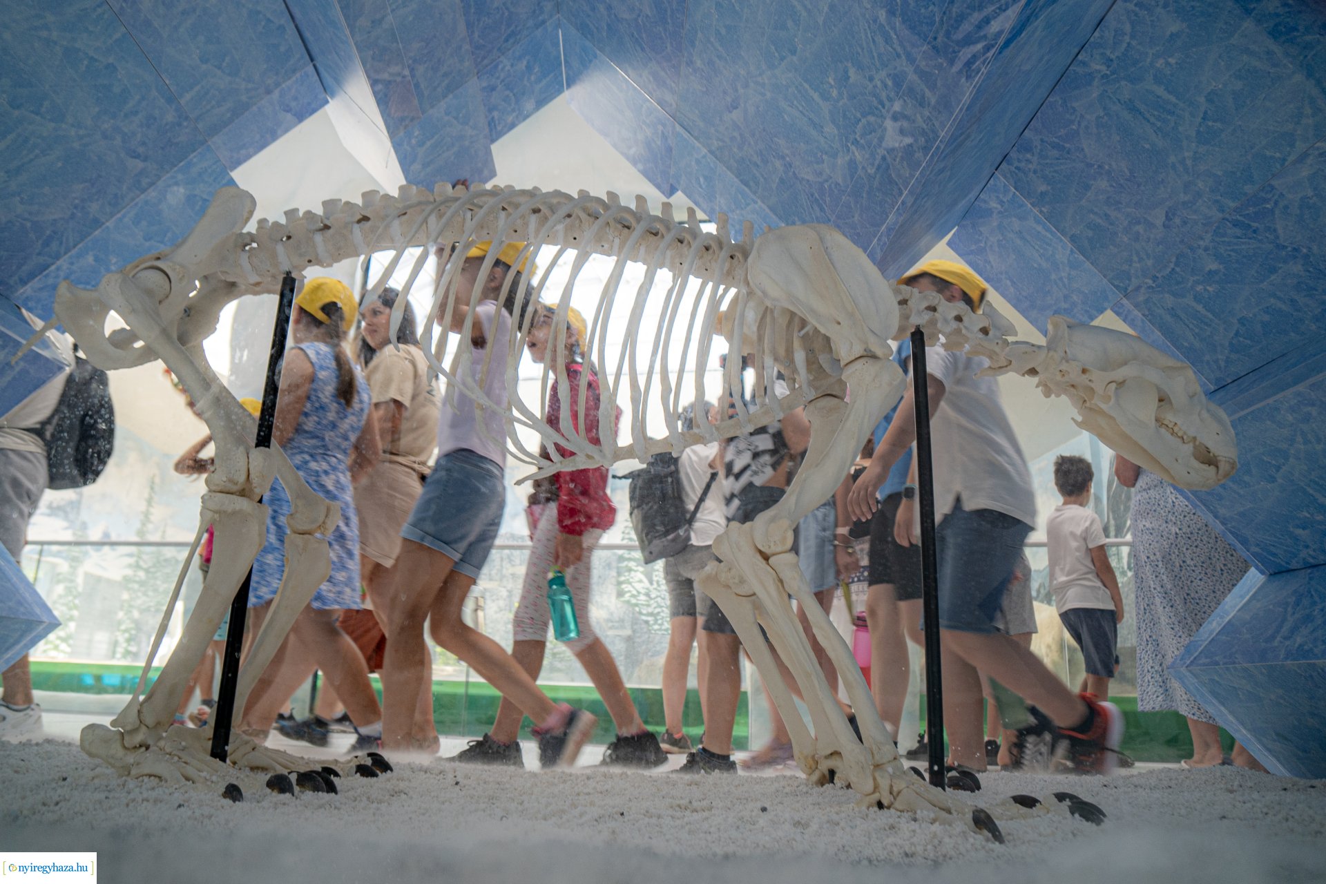 ZooSuli 2024 a Nyíregyházi Állatparkban