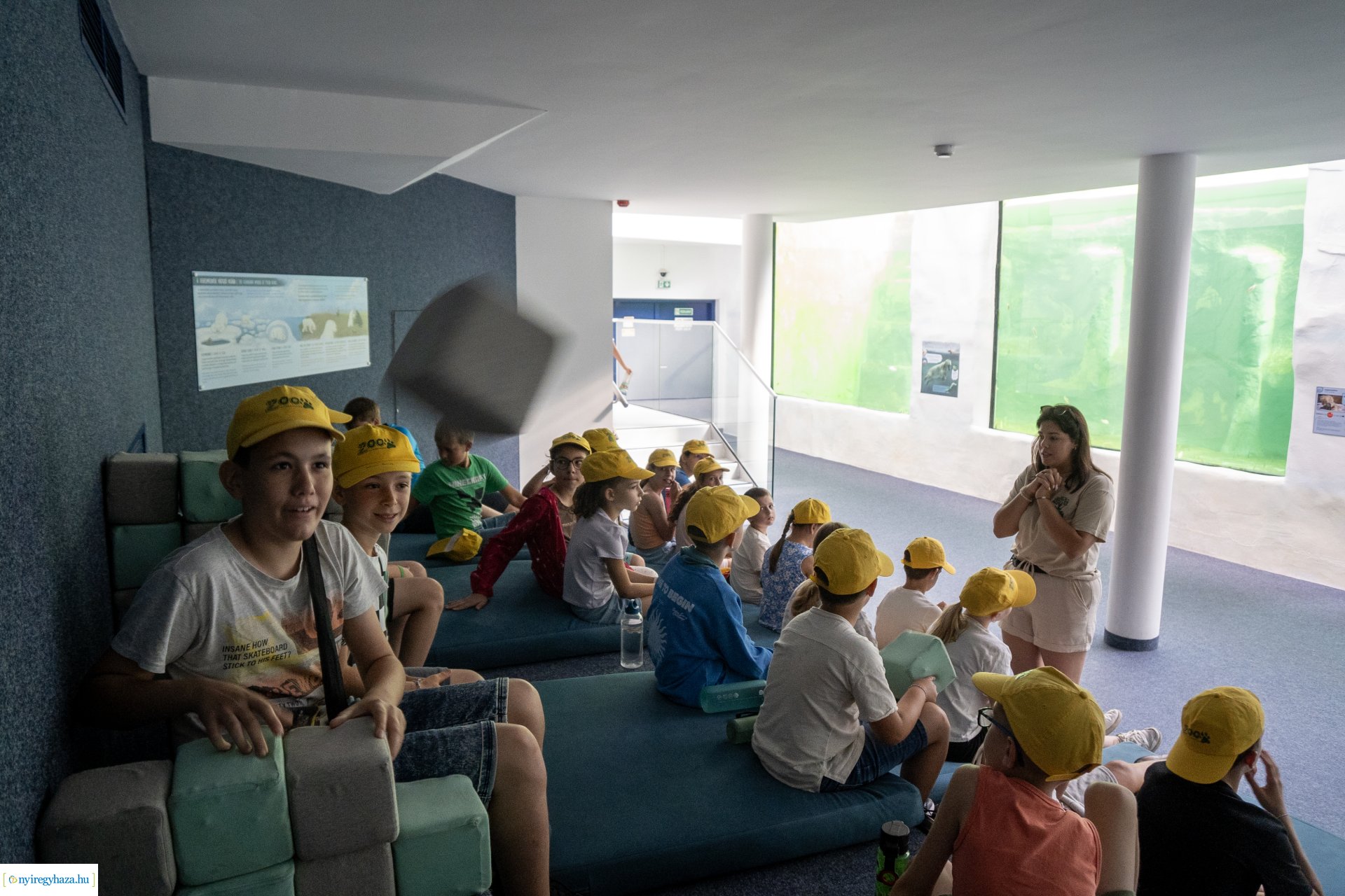 ZooSuli 2024 a Nyíregyházi Állatparkban