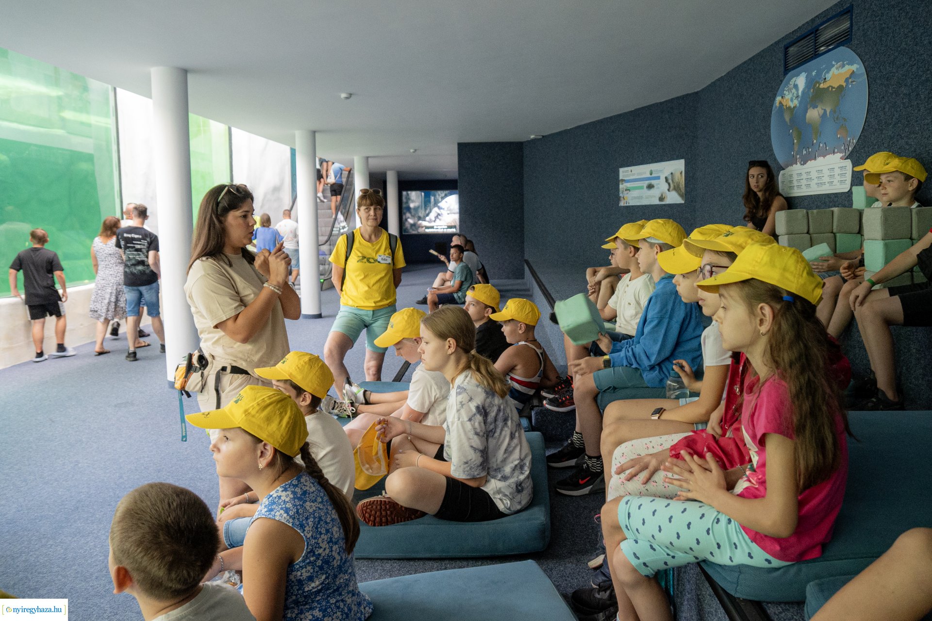 ZooSuli 2024 a Nyíregyházi Állatparkban