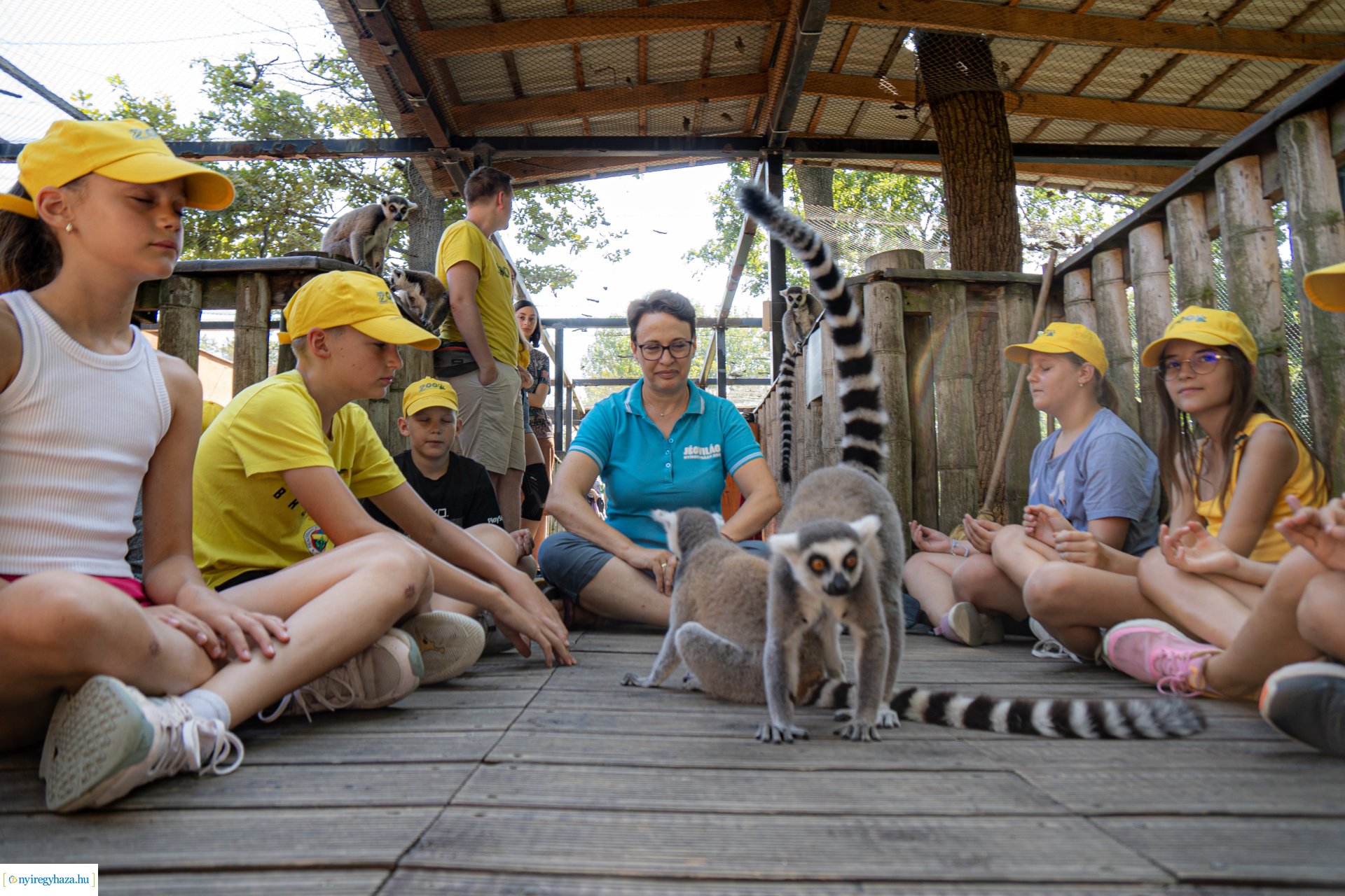 ZooSuli 2024 a Nyíregyházi Állatparkban