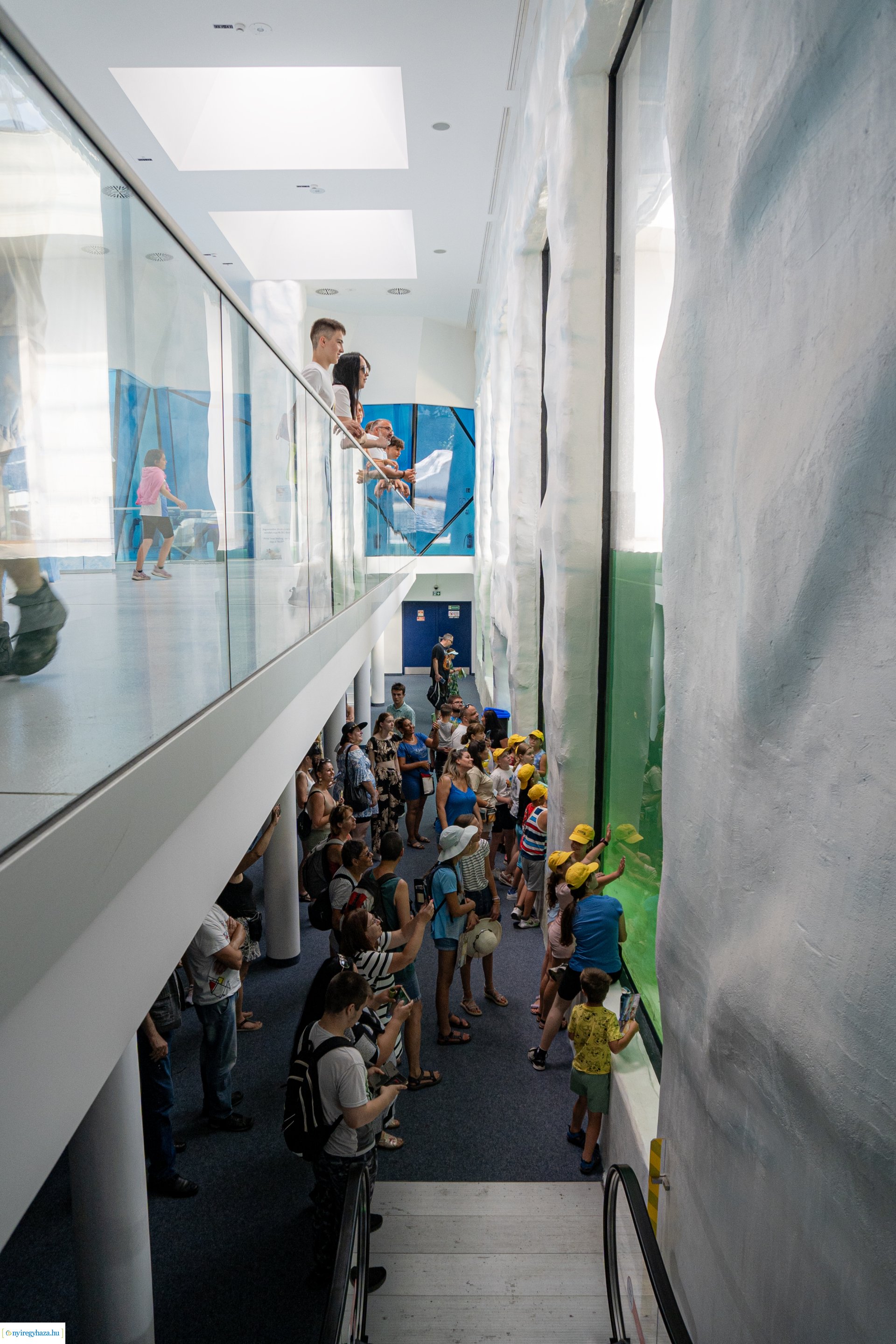 ZooSuli 2024 a Nyíregyházi Állatparkban