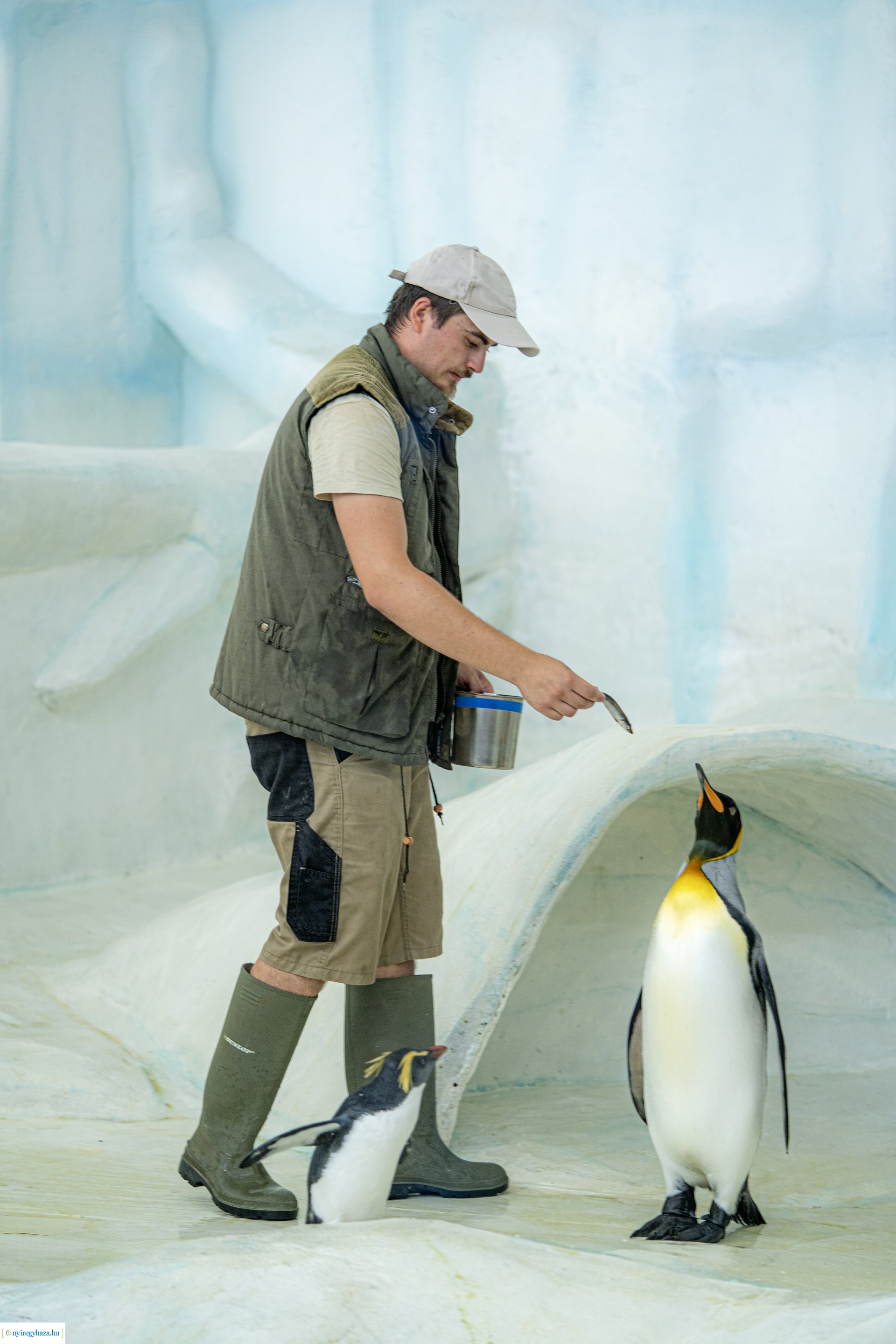 ZooSuli 2024 a Nyíregyházi Állatparkban