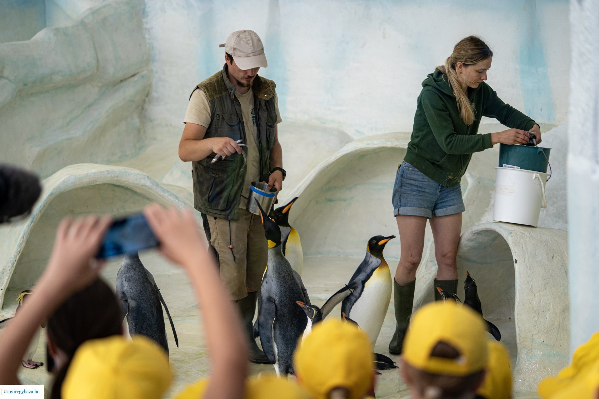 ZooSuli 2024 a Nyíregyházi Állatparkban