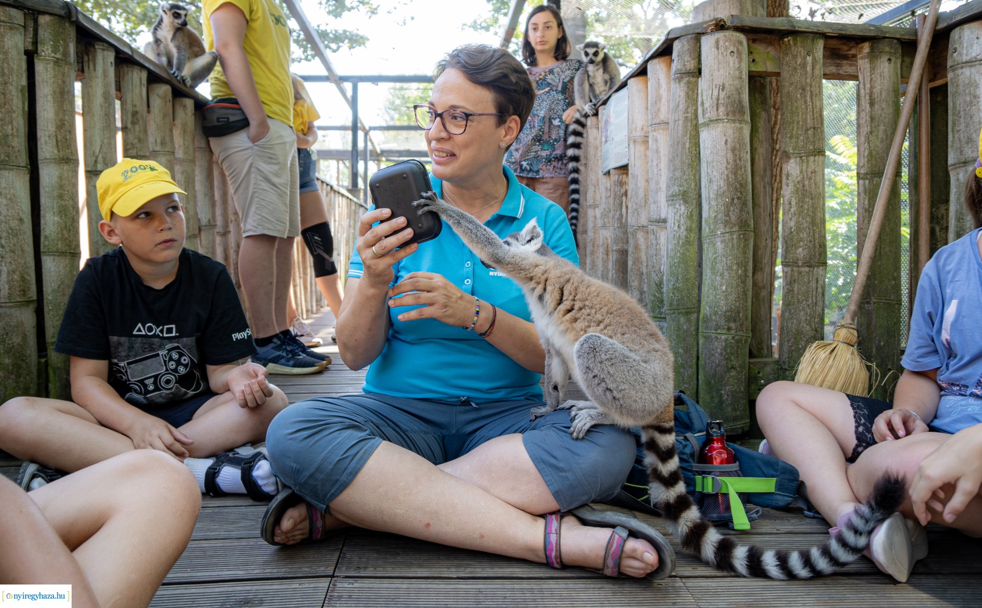 ZooSuli 2024 a Nyíregyházi Állatparkban