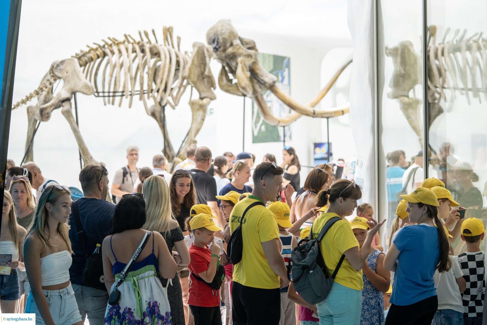 ZooSuli 2024 a Nyíregyházi Állatparkban