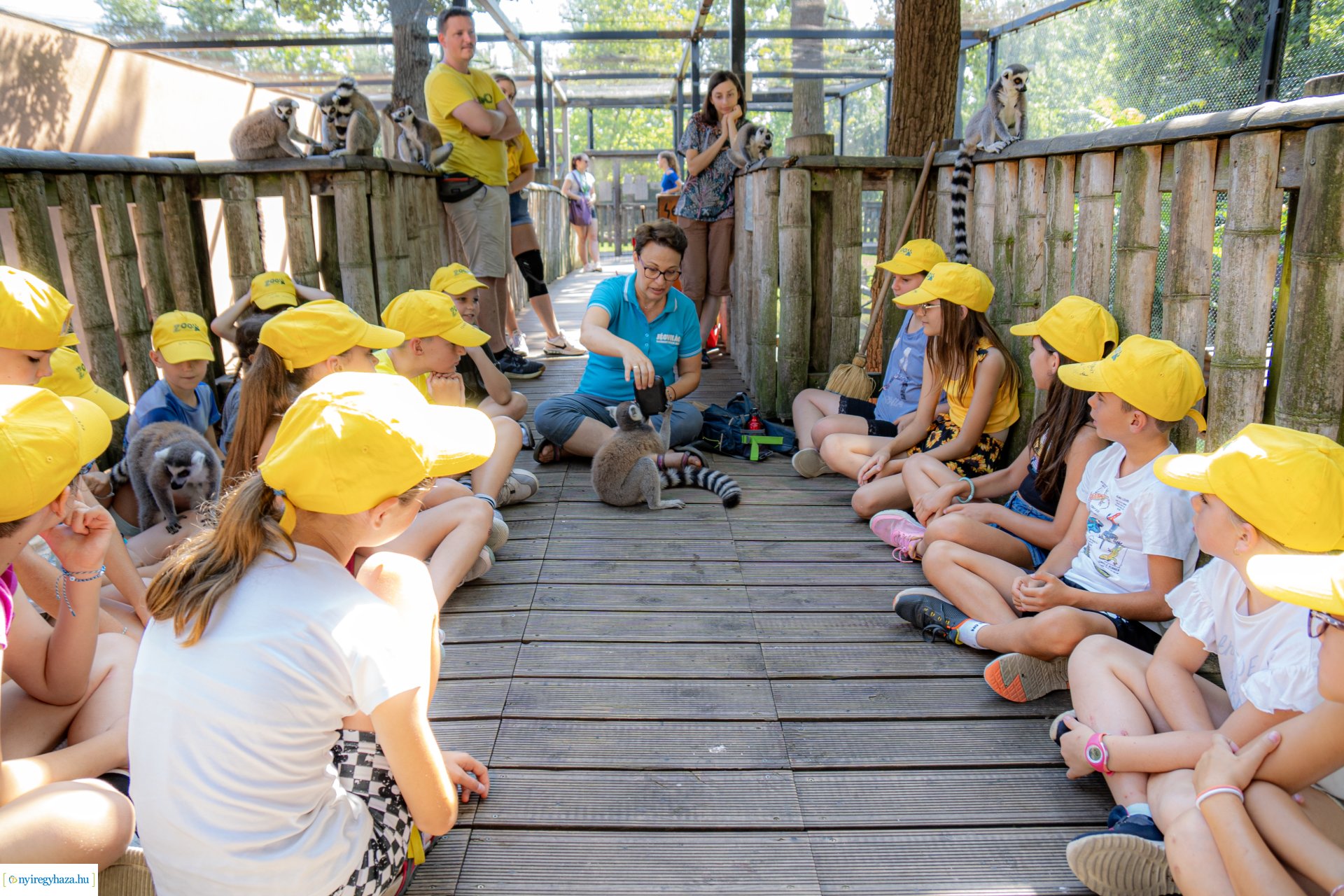 ZooSuli 2024 a Nyíregyházi Állatparkban