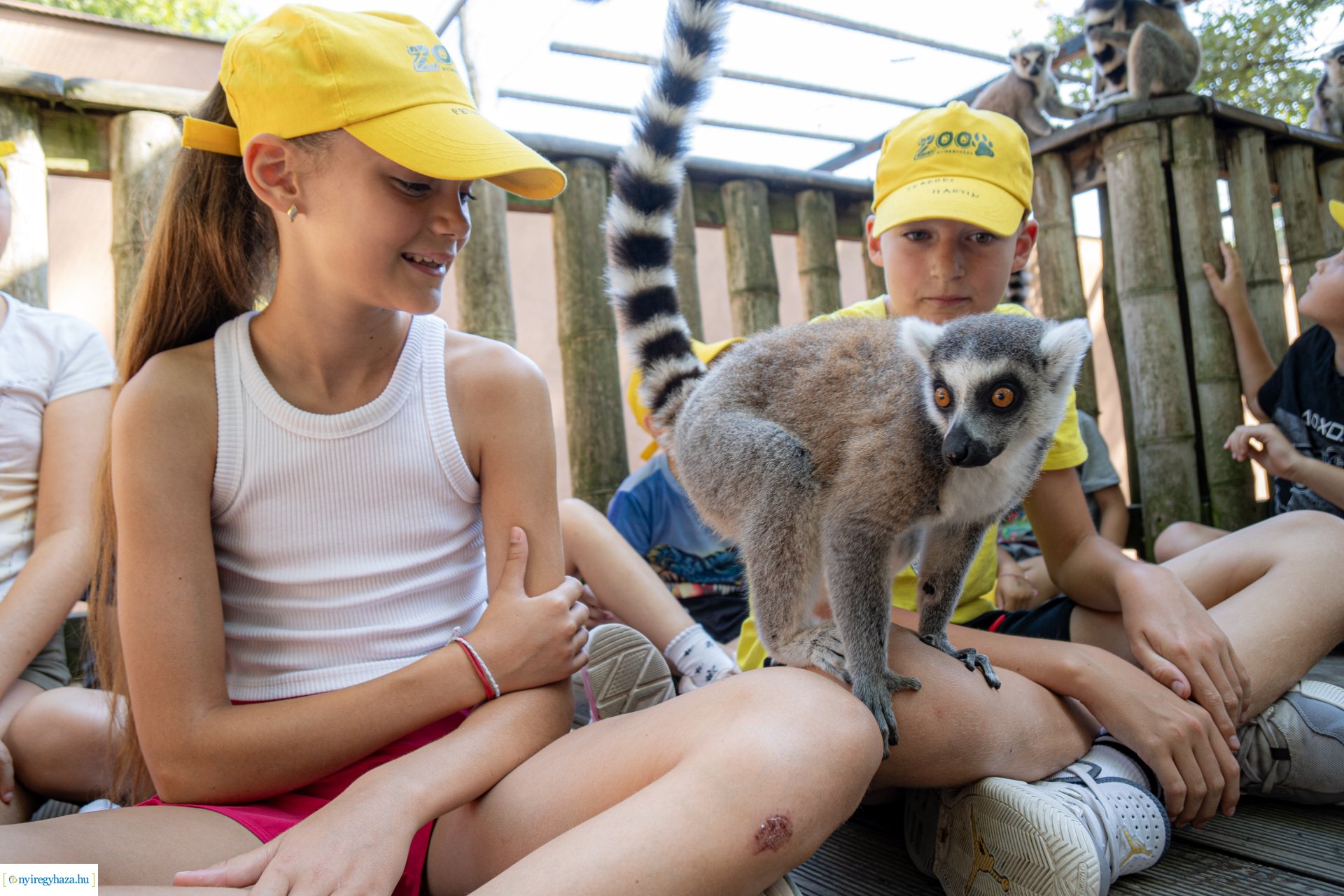 ZooSuli 2024 a Nyíregyházi Állatparkban