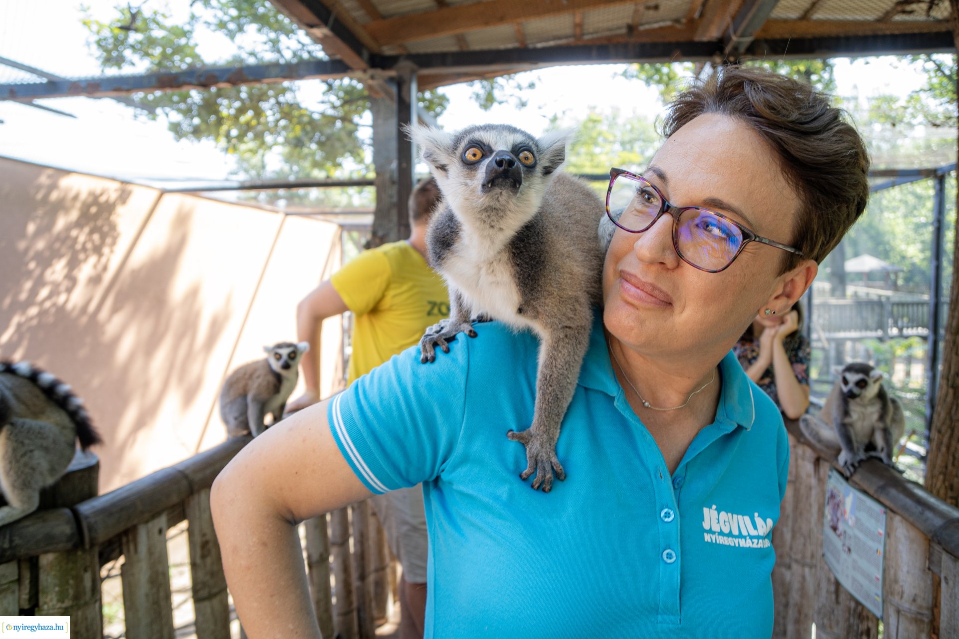 ZooSuli 2024 a Nyíregyházi Állatparkban