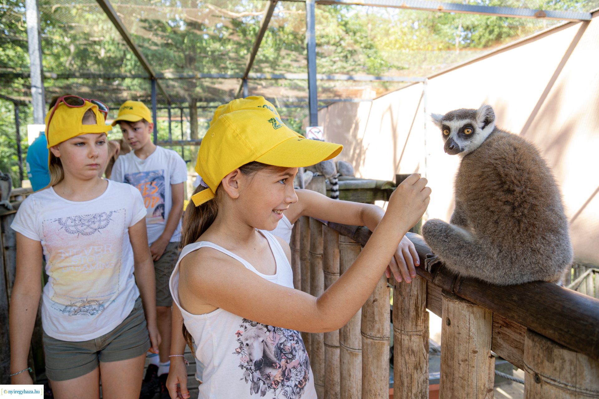 ZooSuli 2024 a Nyíregyházi Állatparkban