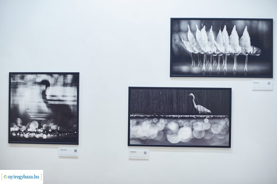 Zsila Sándor fotóművész kiállítása a Városi Galériában