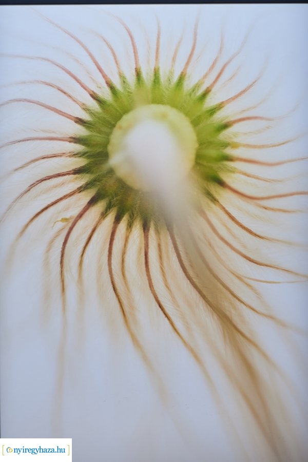 Zsila Sándor fotóművész kiállítása a Városi Galériában