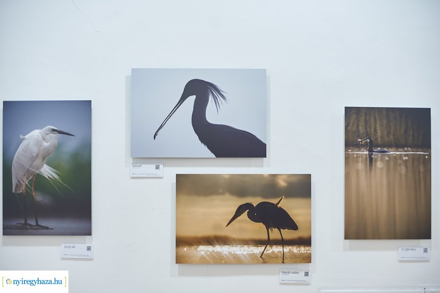 Zsila Sándor fotóművész kiállítása a Városi Galériában