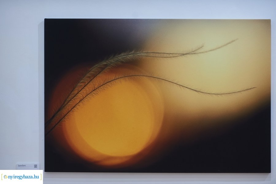 Zsila Sándor fotóművész kiállítása a Városi Galériában