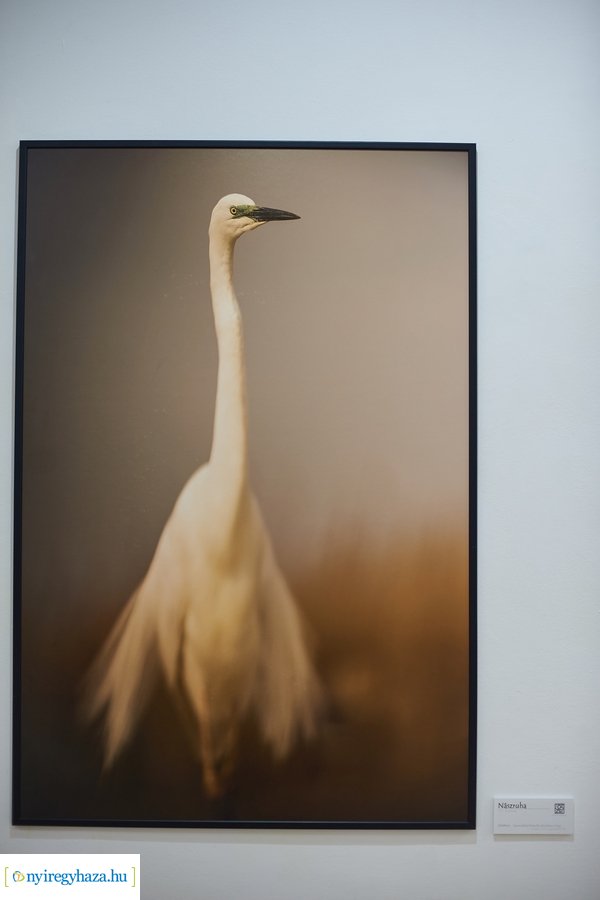 Zsila Sándor fotóművész kiállítása a Városi Galériában