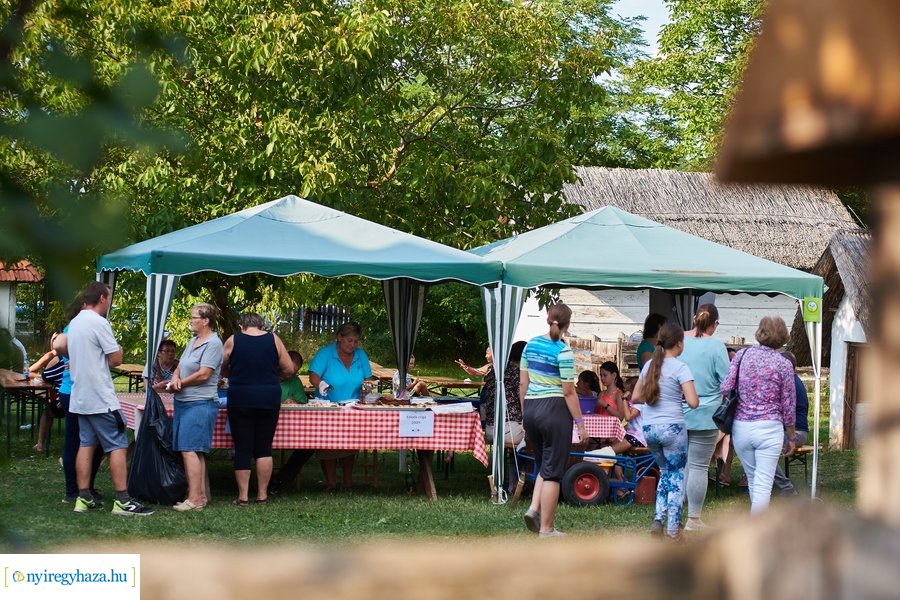 Zsindelyes Összművészeti Fesztivál 2021