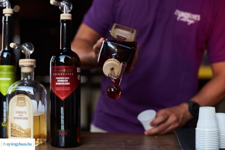 Zsindelyes Összművészeti Fesztivál 2021