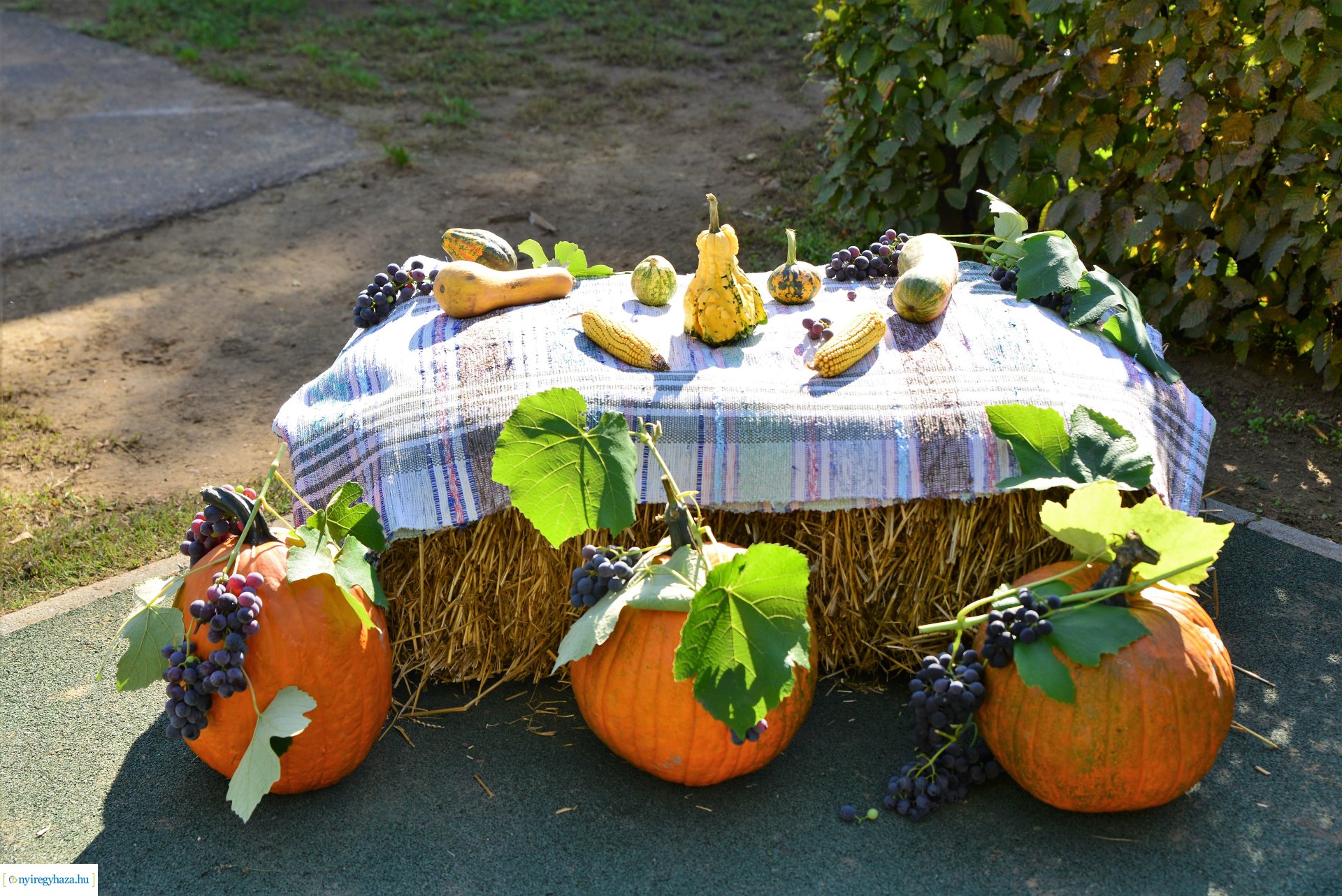 Zsinórlabda pálya bejárás Sóstóhegyen az Eszterlánc Északi Óvoda Nyitnikék Tagintézményében