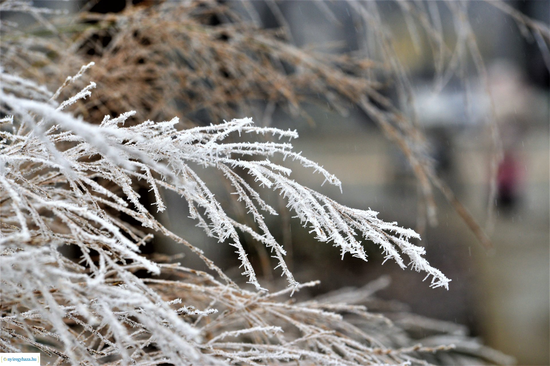 Zúzmarás belvárosunk