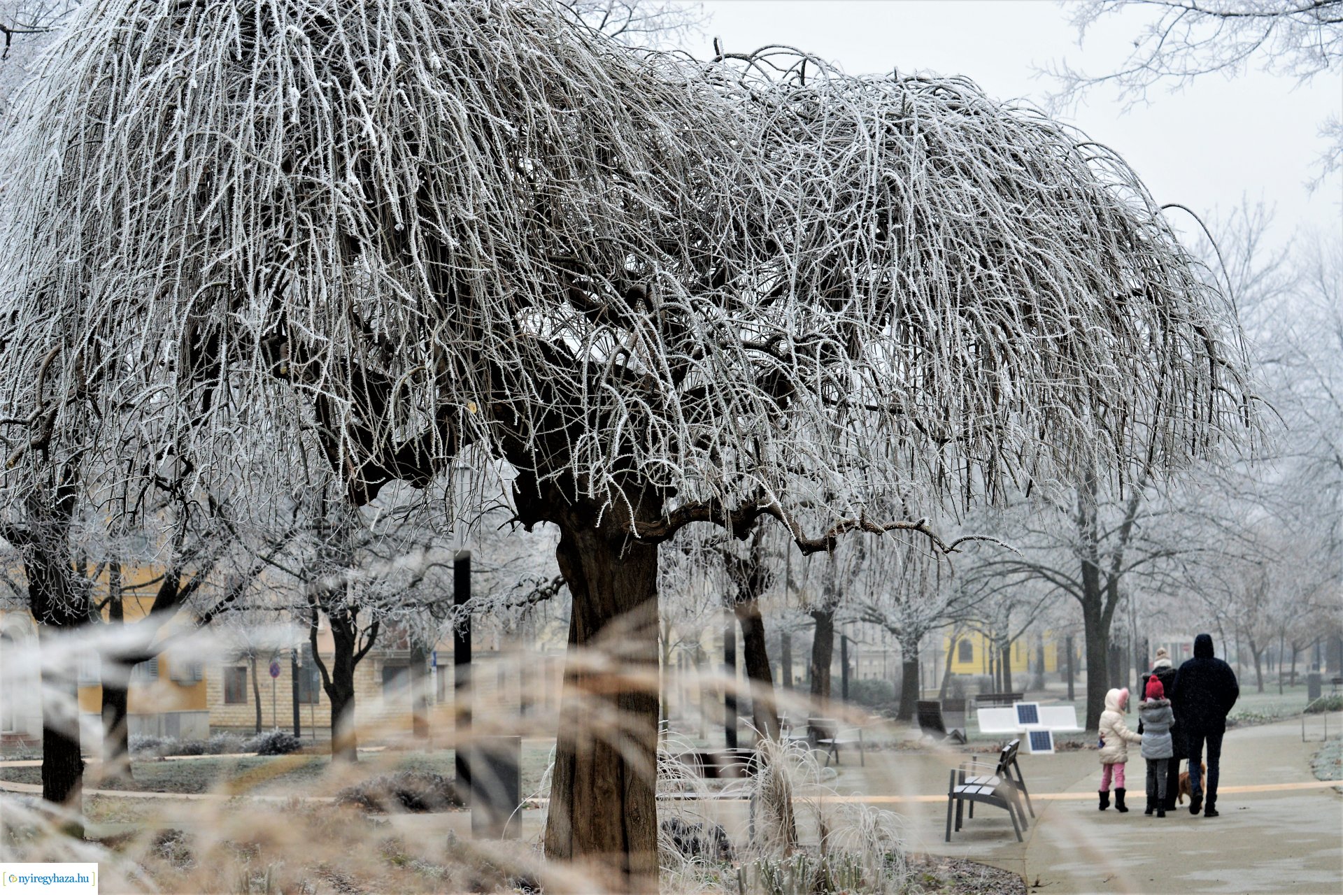 Zúzmarás belvárosunk