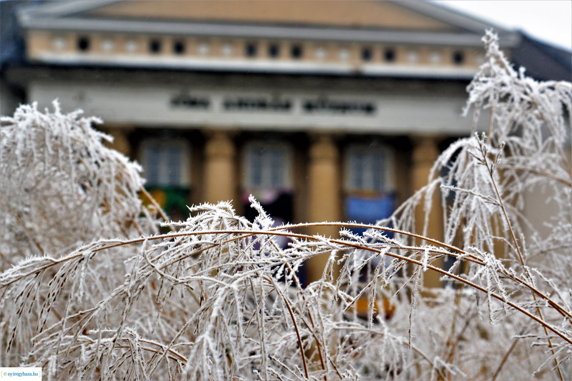 Zúzmarás belvárosunk