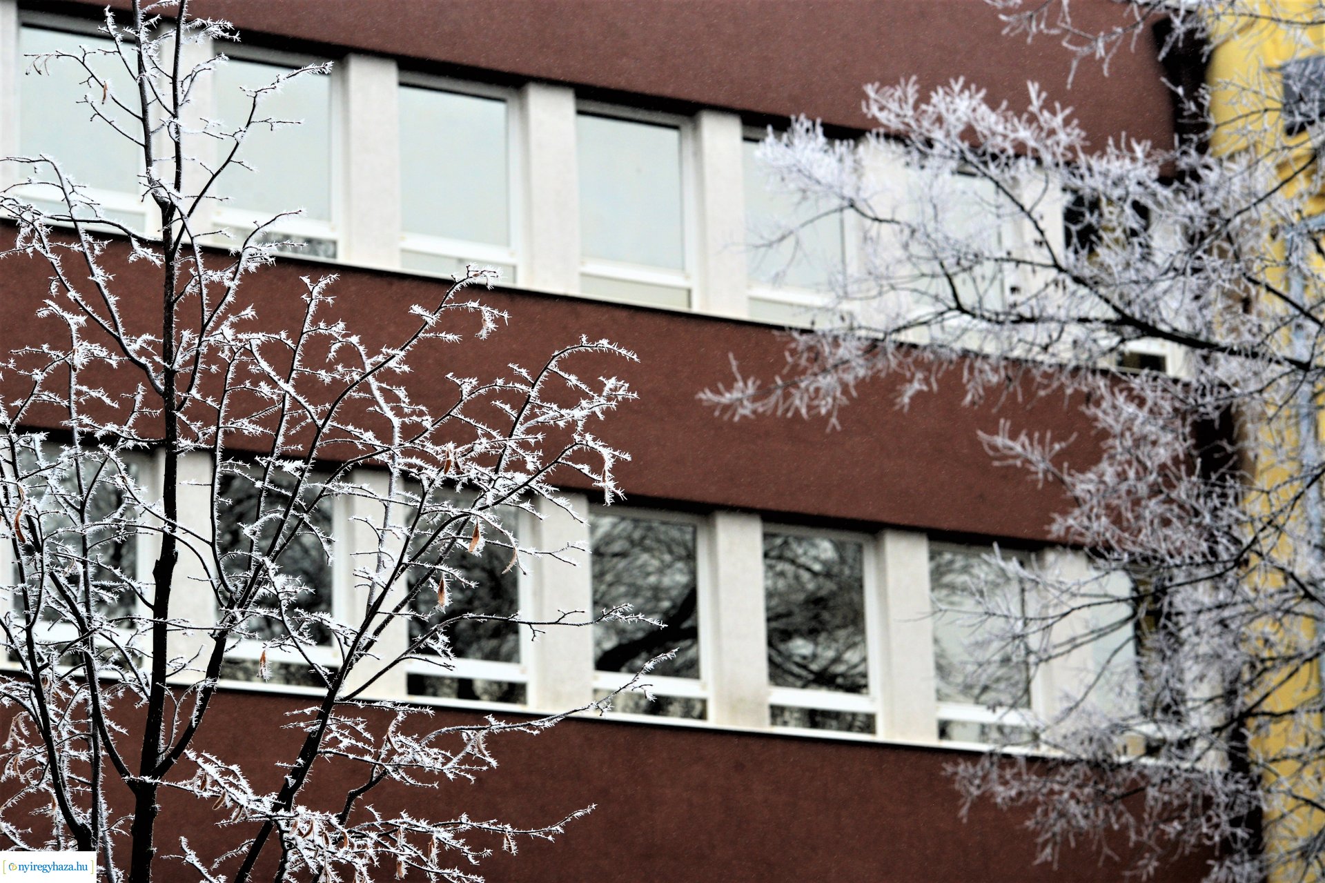 Zúzmarás belvárosunk