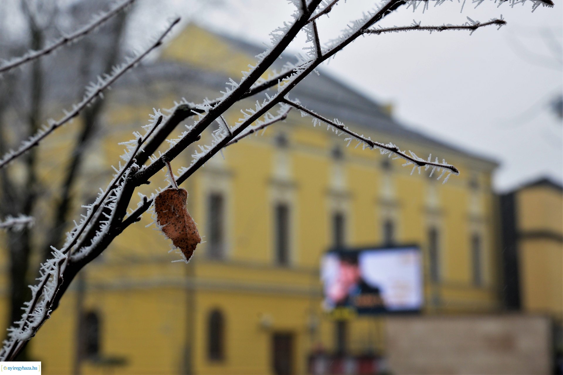 Zúzmarás belvárosunk