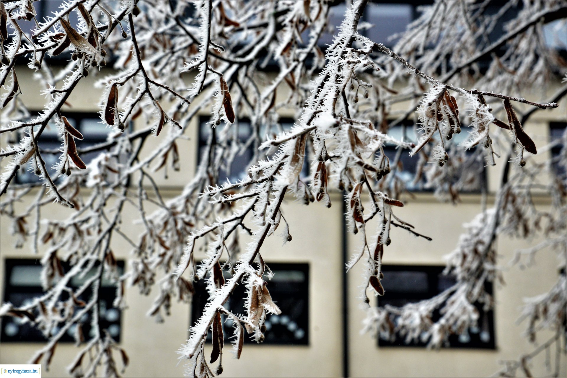 Zúzmarás belvárosunk