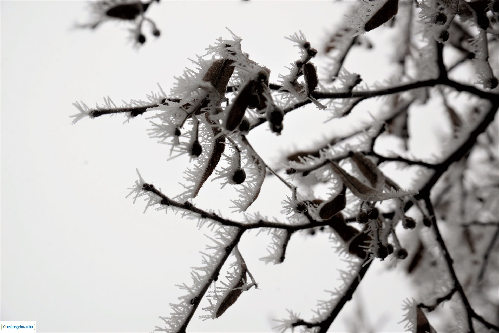 Zúzmarás belvárosunk