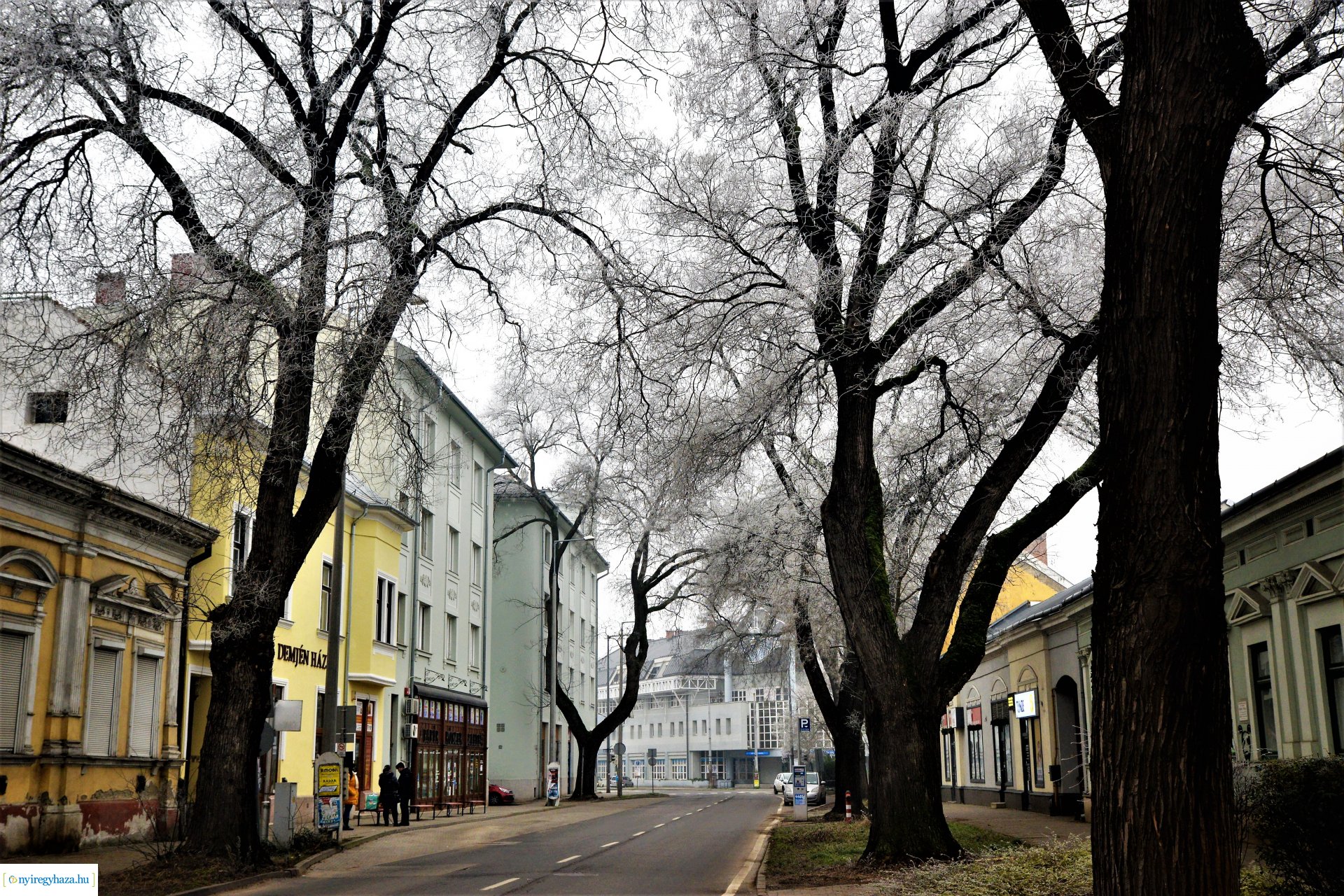 Zúzmarás belvárosunk